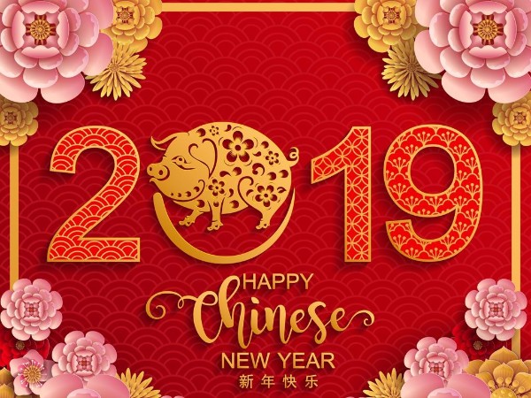 金豬送喜辭舊歲，雙志陪您慶新春！
